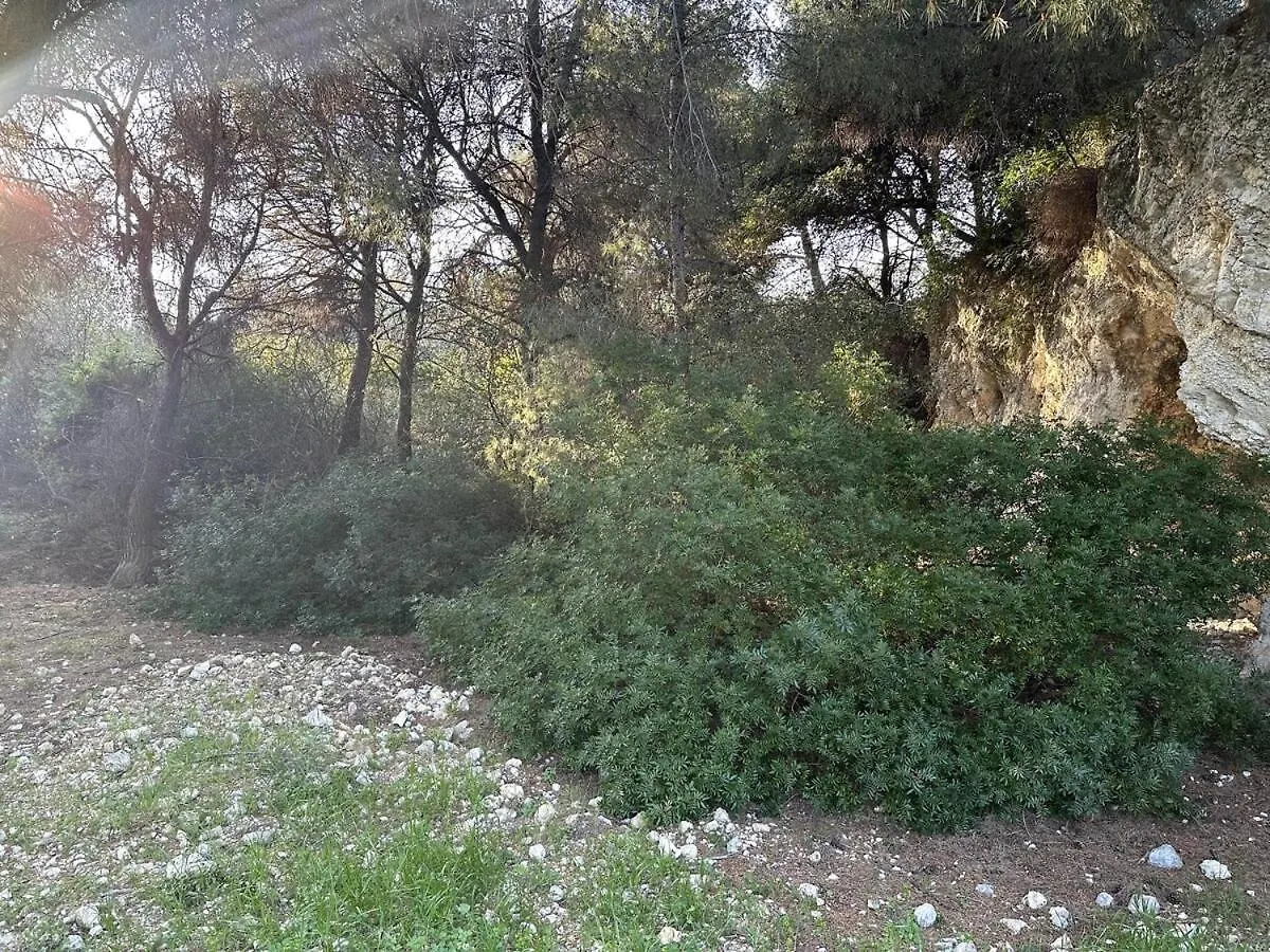 Breathe Guest-House Διαμέρισμα Νίκαια Γαλλία